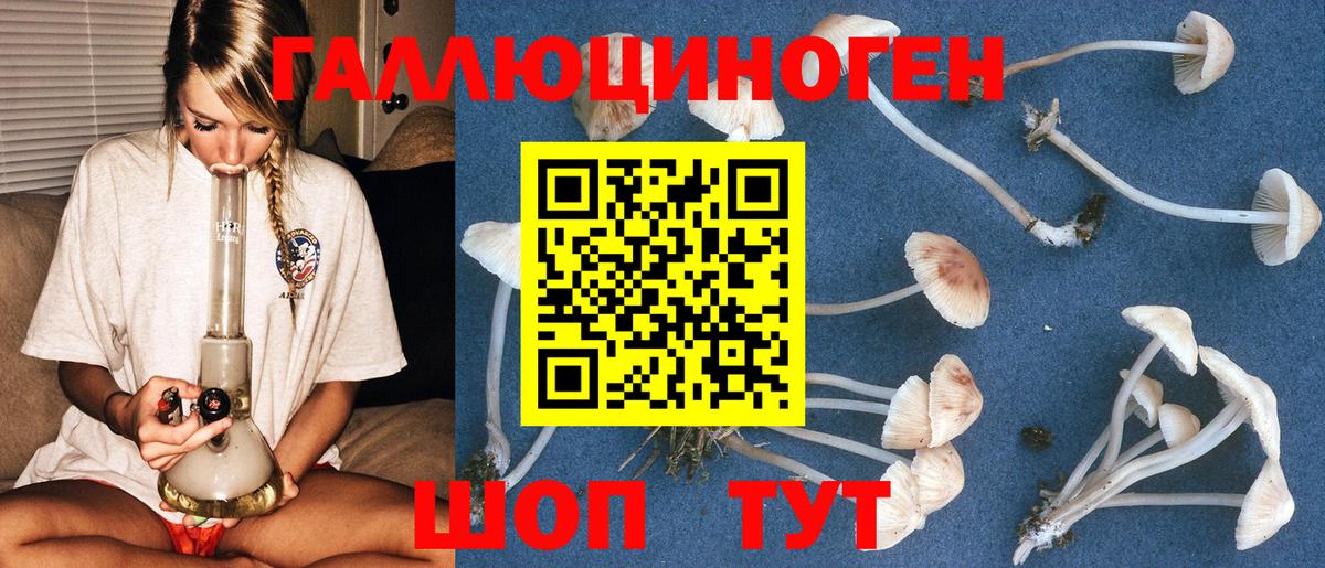 Псилоцибиновые грибы Psilocybine cubensis  Вход с VPN  Галлюциногенные грибы Magic Shrooms  закладка  Алапаевск 